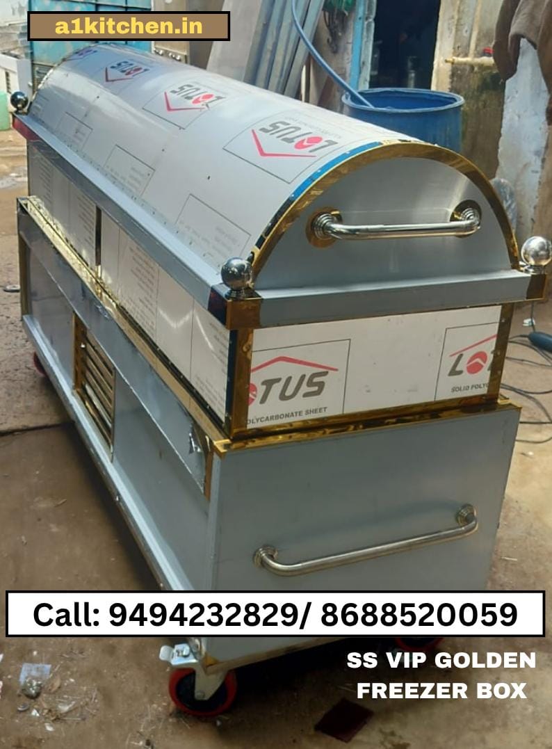 Vip Golden Steel Dead Body Freezer Box